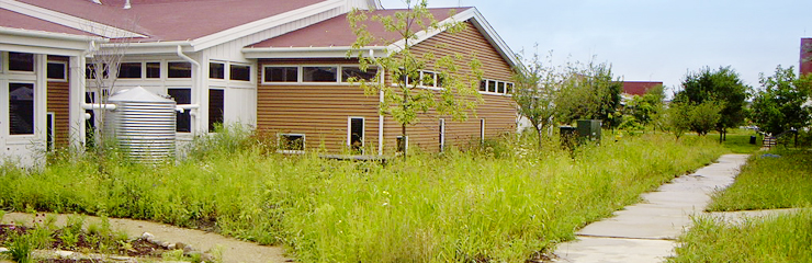 The eco-landscape of Prairie Crossing Charter School, a WRD Environmental project