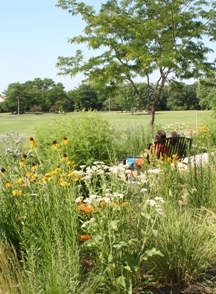 Students at John L. Sipley Elementary School sit among native plants on the school grounds.