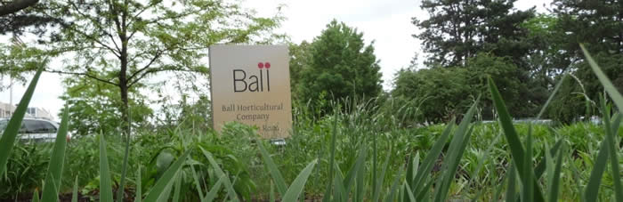 Entrance sign amidst the new landscape at Ball Horticultural Company 