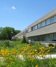 Waves of native plants greet visitors to the corporate campus of Ball Horticultural Company.