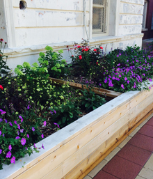 Blooming planter boxes at the Arthur A. Libby Elementary School learning landscape