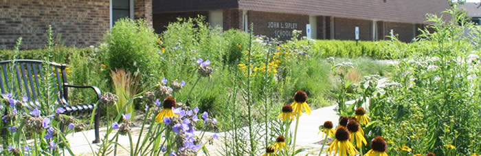 Native plants grace the entrance of John L. Sipley Elementary School, a WRD Environmental project