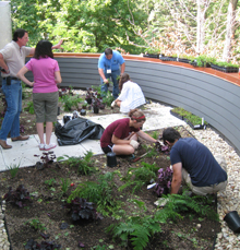 Students installing plants on the green roof of St. Francis High School